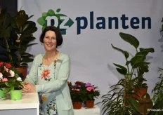 Marlene Zuidgeest van PZ Planten liet onder anderen hun Vleitig Liesje zien die het erg goed doet in Zuid Europa doordat deze blijft bloeien tot de eerste vorst.